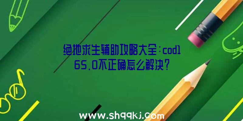 绝地求生辅助攻略大全：cod165.0不正确怎么解决？