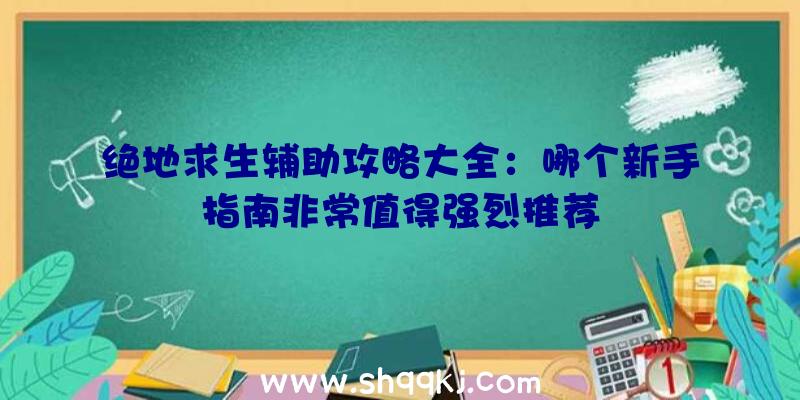 绝地求生辅助攻略大全：哪个新手指南非常值得强烈推荐