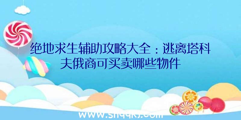 绝地求生辅助攻略大全：逃离塔科夫俄商可买卖哪些物件