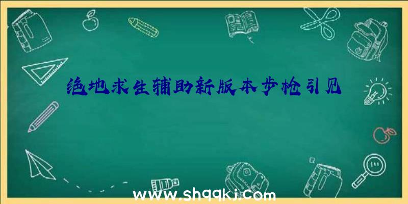 绝地求生辅助新版本步枪引见