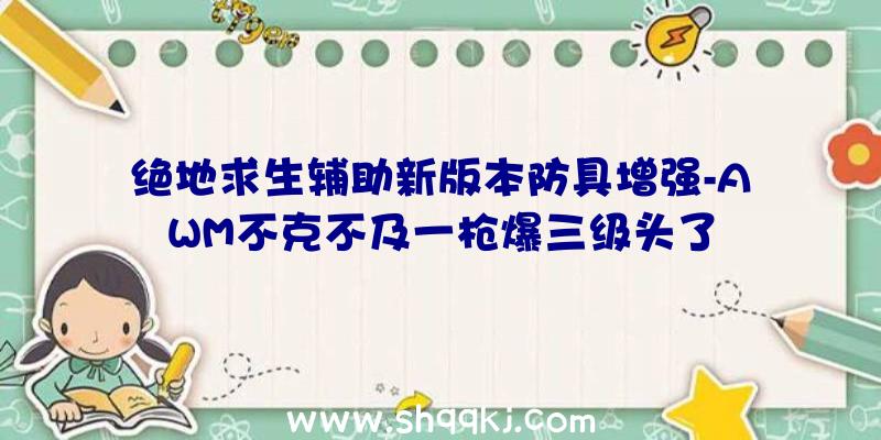 绝地求生辅助新版本防具增强-AWM不克不及一枪爆三级头了