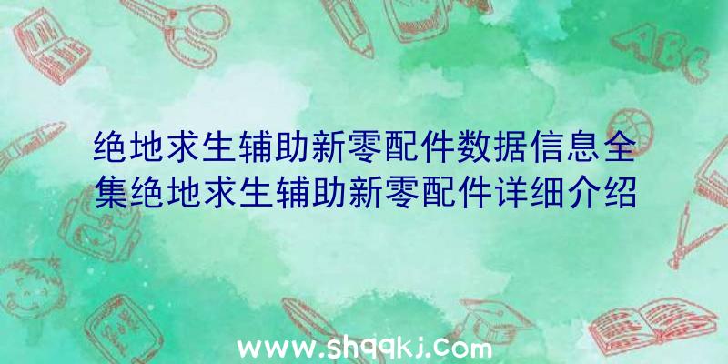 绝地求生辅助新零配件数据信息全集绝地求生辅助新零配件详细介绍