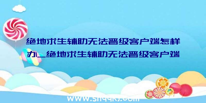 绝地求生辅助无法晋级客户端怎样办_绝地求生辅助无法晋级客户端处理方法