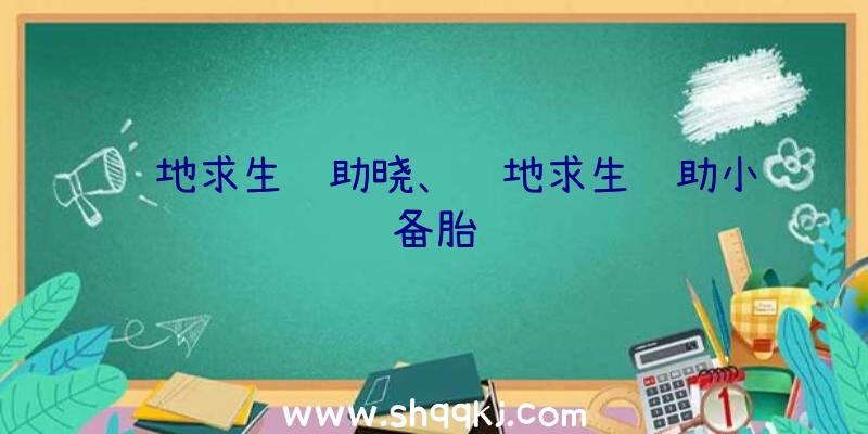 绝地求生辅助晓、绝地求生辅助小备胎