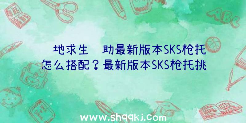 绝地求生辅助最新版本SKS枪托怎么搭配？最新版本SKS枪托挑选配搭