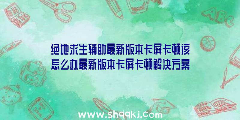 绝地求生辅助最新版本卡屏卡顿该怎么办最新版本卡屏卡顿解决方案