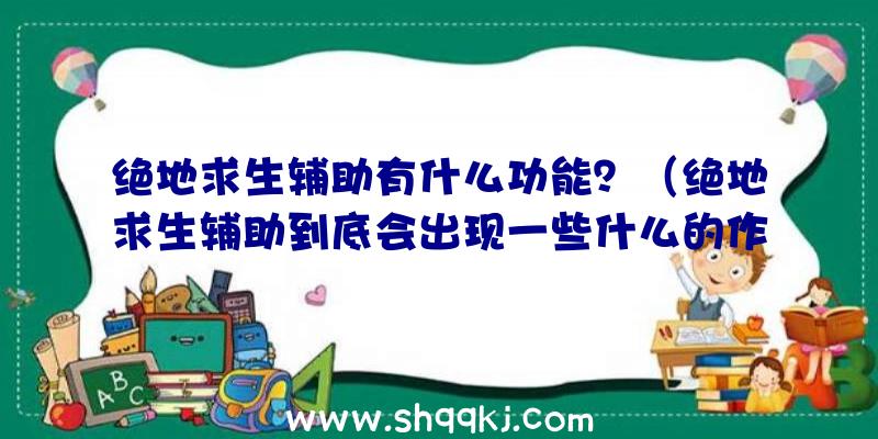 绝地求生辅助有什么功能？（绝地求生辅助到底会出现一些什么的作用？经历详解）