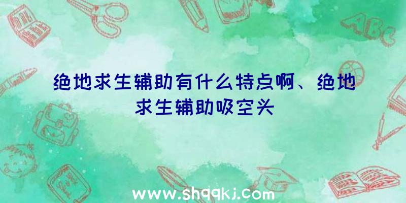 绝地求生辅助有什么特点啊、绝地求生辅助吸空头