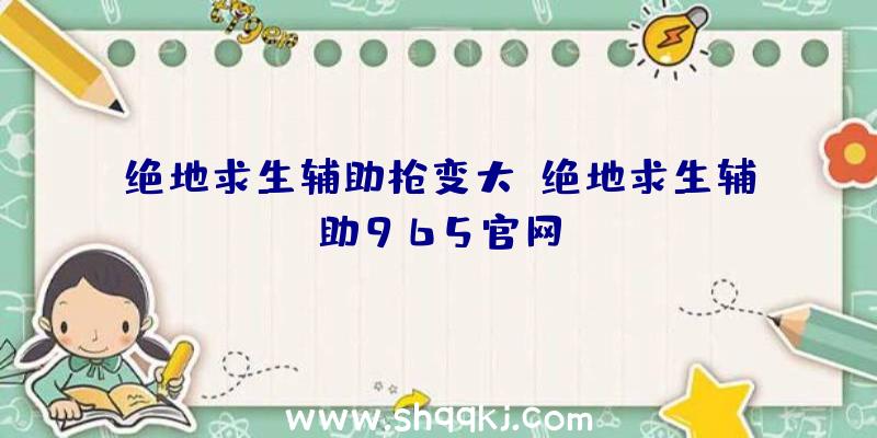 绝地求生辅助枪变大、绝地求生辅助965官网