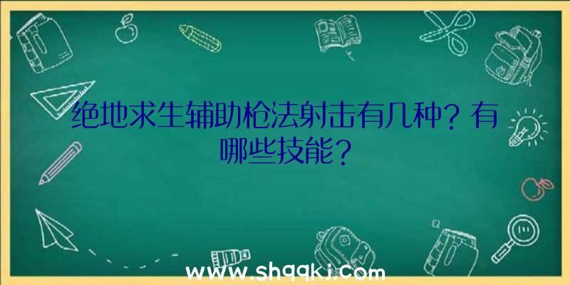 绝地求生辅助枪法射击有几种？有哪些技能？