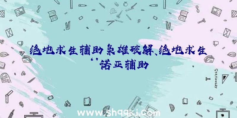 绝地求生辅助枭雄破解、绝地求生‘’诺亚辅助