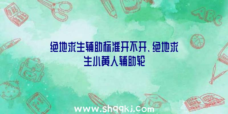 绝地求生辅助标准开不开、绝地求生小黄人辅助轮