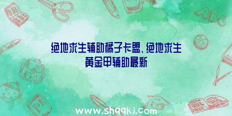 绝地求生辅助橘子卡盟、绝地求生黄金甲辅助最新