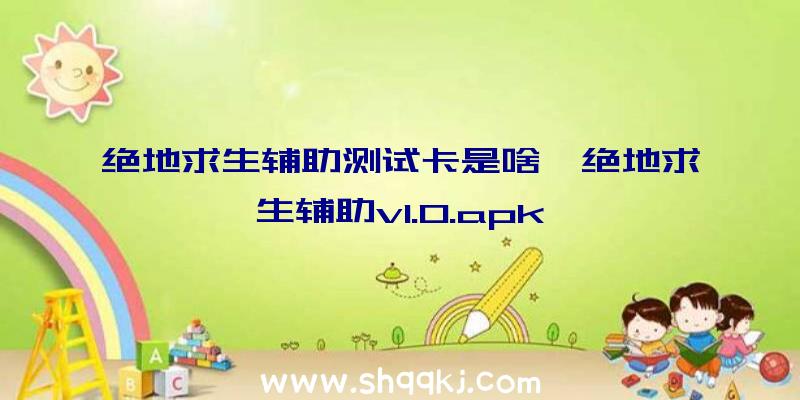 绝地求生辅助测试卡是啥、绝地求生辅助v1.0.apk