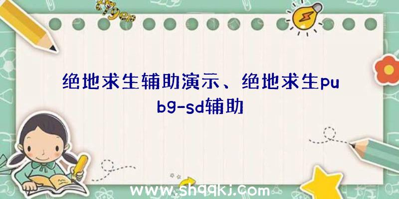 绝地求生辅助演示、绝地求生pubg-sd辅助