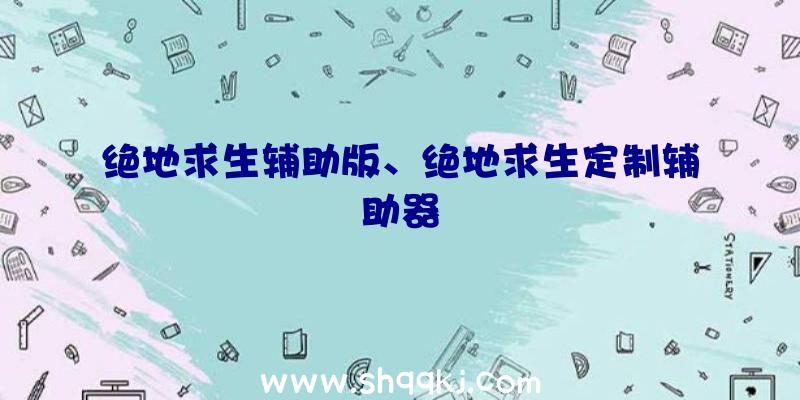 绝地求生辅助版、绝地求生定制辅助器