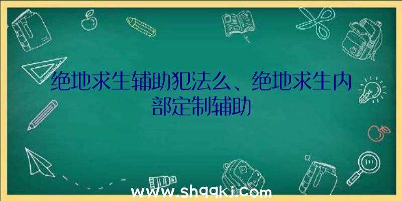 绝地求生辅助犯法么、绝地求生内部定制辅助