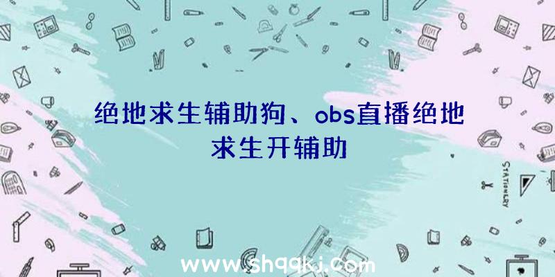 绝地求生辅助狗、obs直播绝地求生开辅助