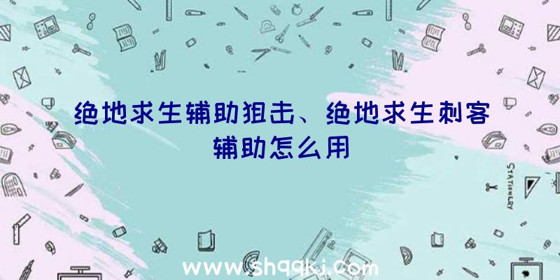 绝地求生辅助狙击、绝地求生刺客辅助怎么用