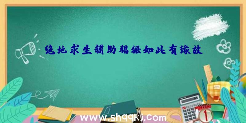 绝地求生辅助猖獗如此有缘故