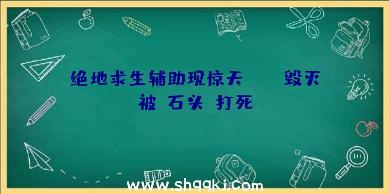 绝地求生辅助现惊天BUG!毁灭被“石头”打死