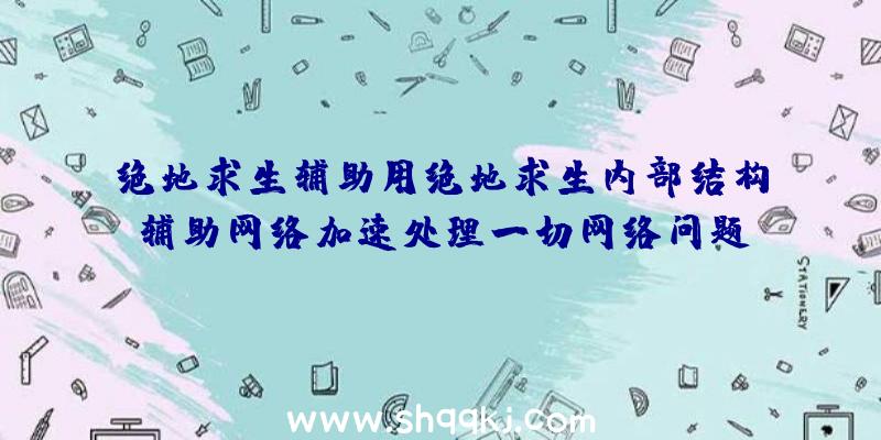 绝地求生辅助用绝地求生内部结构辅助网络加速处理一切网络问题