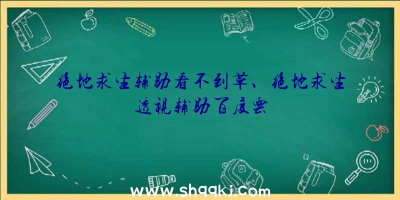 绝地求生辅助看不到草、绝地求生透视辅助百度云