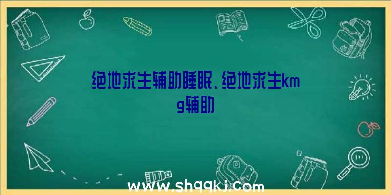 绝地求生辅助睡眠、绝地求生kmg辅助