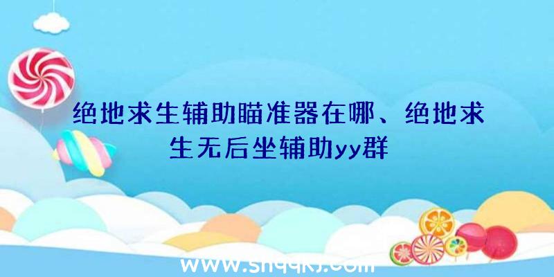 绝地求生辅助瞄准器在哪、绝地求生无后坐辅助yy群