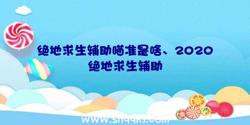 绝地求生辅助瞄准是啥、2020绝地求生辅助