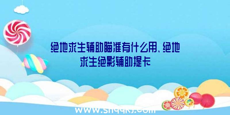 绝地求生辅助瞄准有什么用、绝地求生绝影辅助提卡