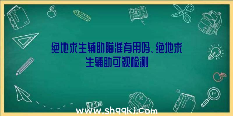 绝地求生辅助瞄准有用吗、绝地求生辅助可视检测