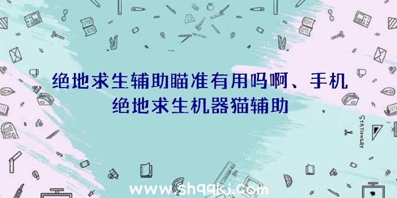 绝地求生辅助瞄准有用吗啊、手机绝地求生机器猫辅助