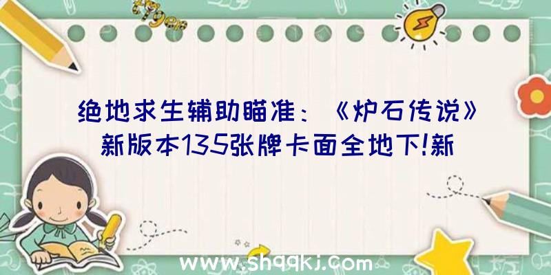 绝地求生辅助瞄准：《炉石传说》新版本135张牌卡面全地下!新拓展包DLC将于8月4日上线