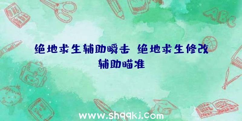 绝地求生辅助瞬击、绝地求生修改辅助瞄准