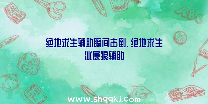 绝地求生辅助瞬间击倒、绝地求生冰原狼辅助