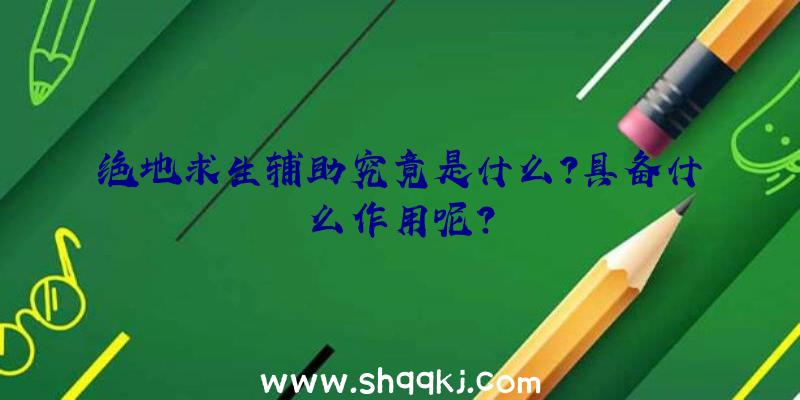 绝地求生辅助究竟是什么？具备什么作用呢？