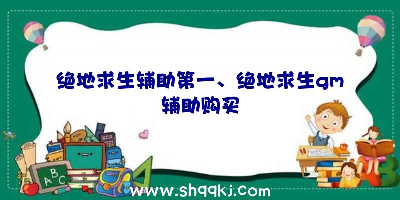 绝地求生辅助第一、绝地求生gm辅助购买