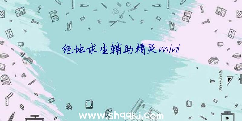 绝地求生辅助精灵mini