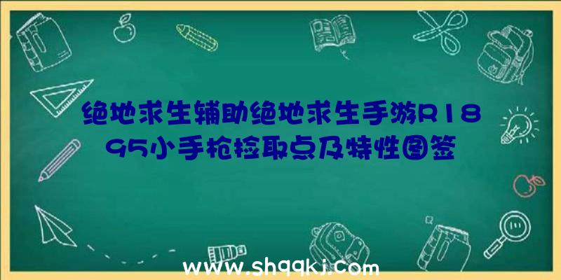 绝地求生辅助绝地求生手游R1895小手枪捡取点及特性图签