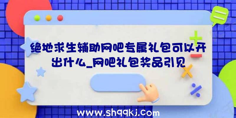 绝地求生辅助网吧专属礼包可以开出什么_网吧礼包奖品引见