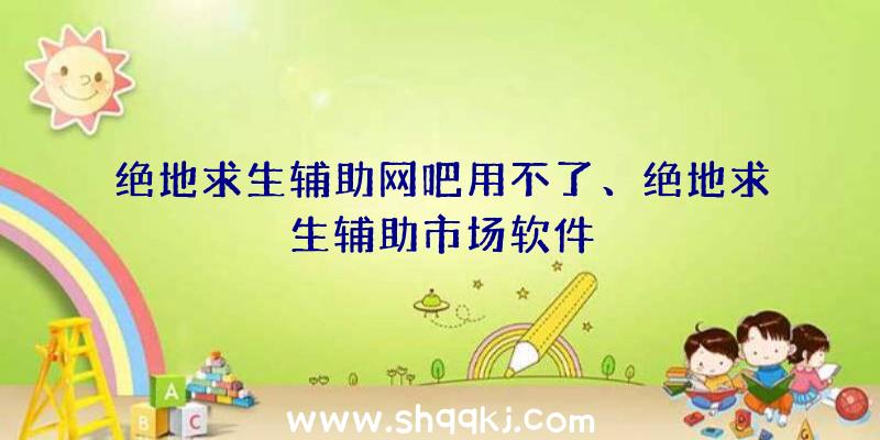 绝地求生辅助网吧用不了、绝地求生辅助市场软件