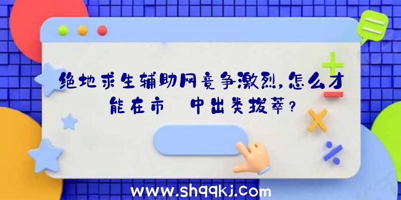 绝地求生辅助网竞争激烈，怎么才能在市場中出类拔萃？