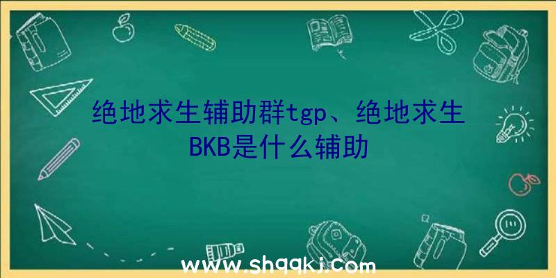 绝地求生辅助群tgp、绝地求生BKB是什么辅助