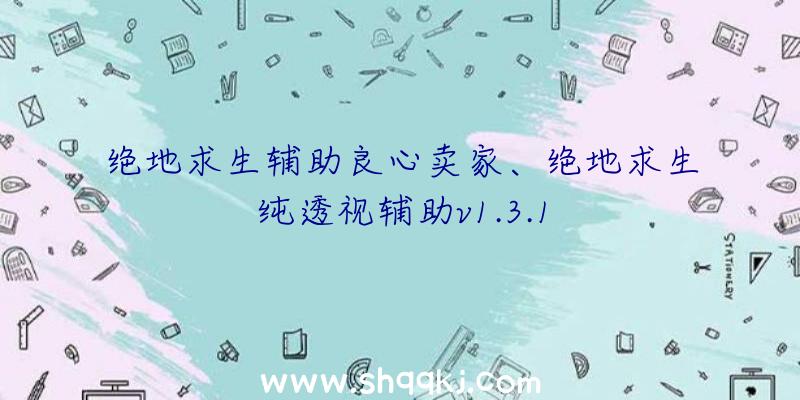 绝地求生辅助良心卖家、绝地求生纯透视辅助v1.3.1