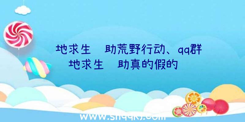 绝地求生辅助荒野行动、qq群绝地求生辅助真的假的