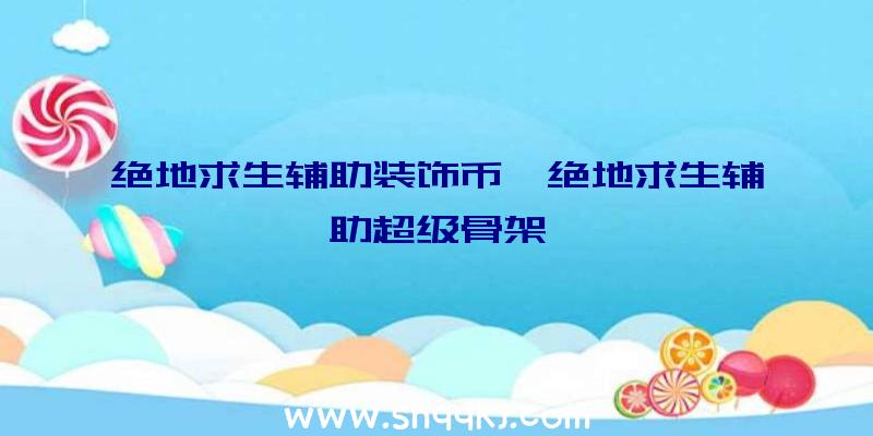 绝地求生辅助装饰币、绝地求生辅助超级骨架