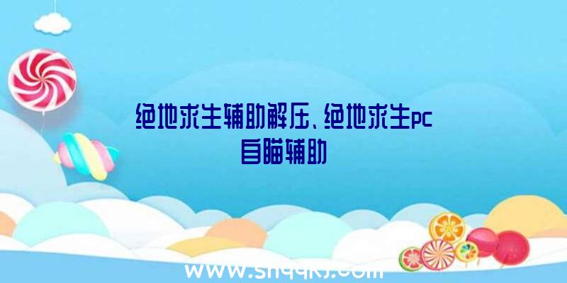 绝地求生辅助解压、绝地求生pc自瞄辅助