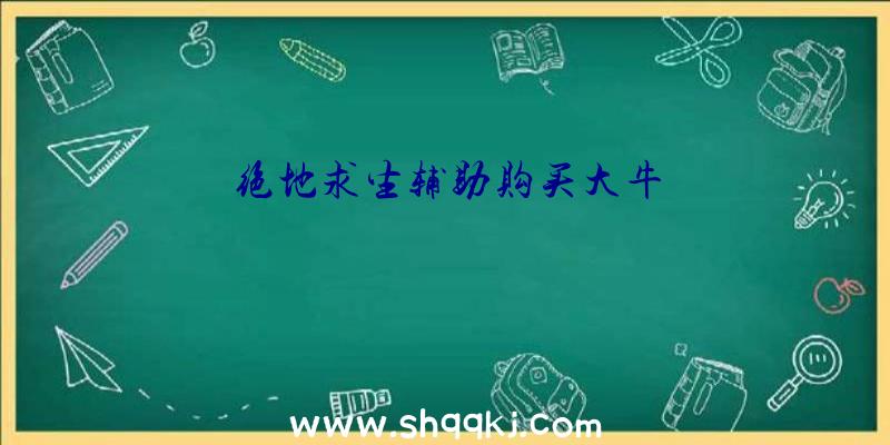 绝地求生辅助购买大牛