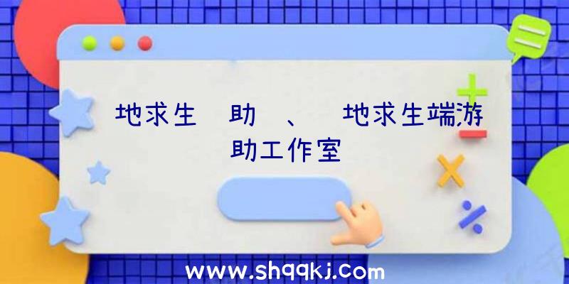 绝地求生辅助贵、绝地求生端游辅助工作室